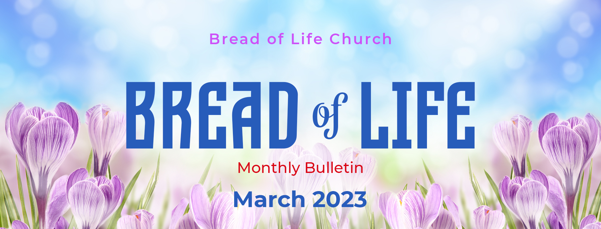 Bulletin – March 2023