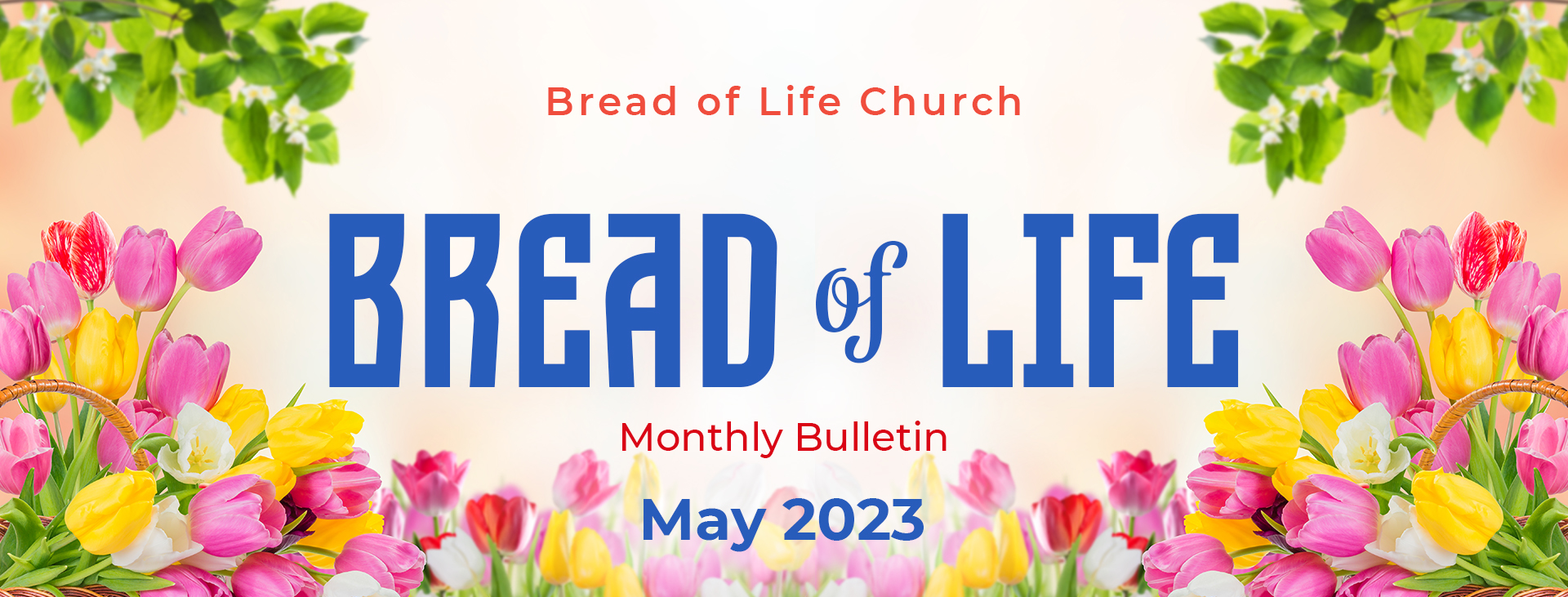 Bulletin – May 2023